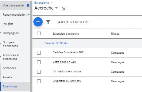 Extensions Google Ads d'accroche